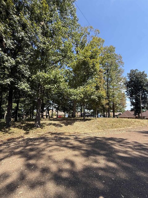 4160 White Cedar