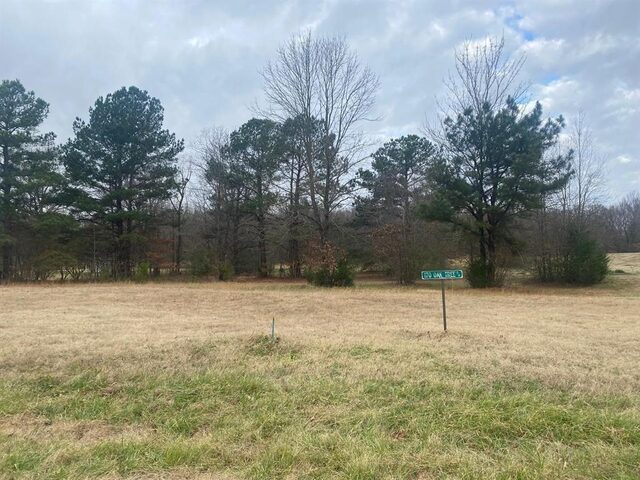 170 Oak Tree