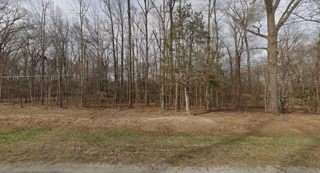 0 Willow Oak