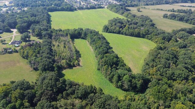 76.34 Acres Terry